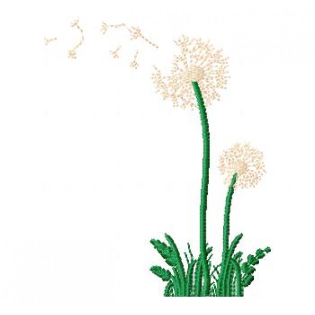 Flowers_50