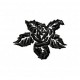 Flowers_51