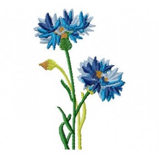 Flowers_52