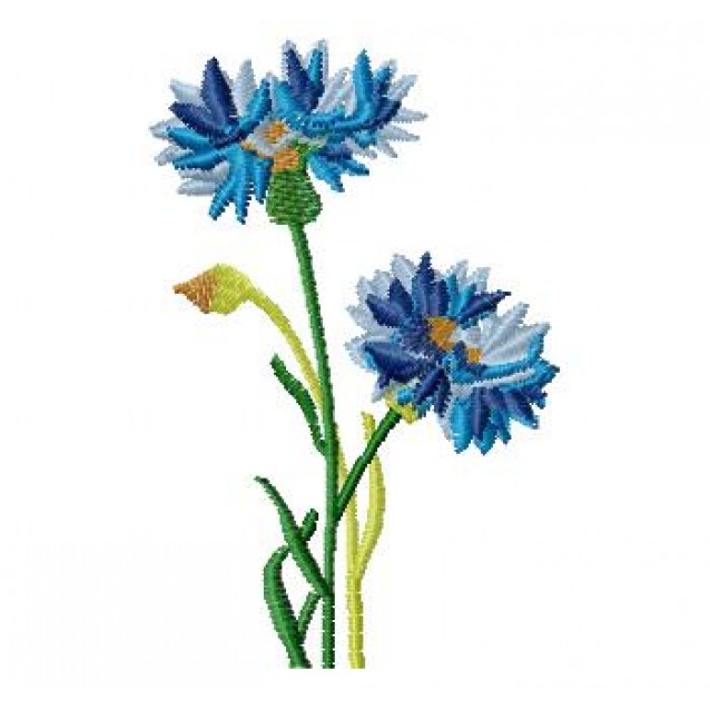 Flowers_52