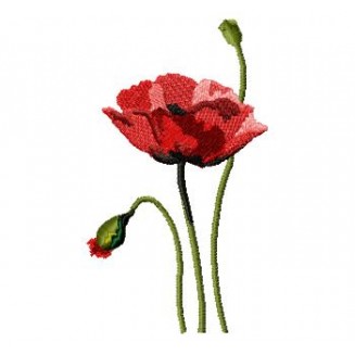 Flowers_55