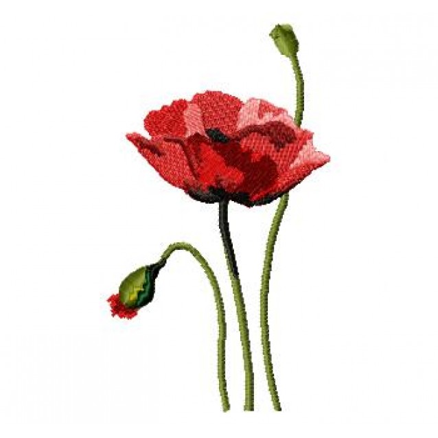 Flowers_55