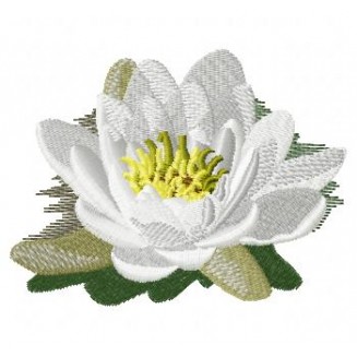 Flowers_56