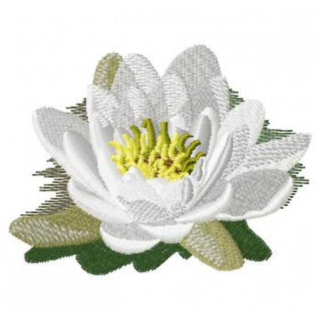 Flowers_56