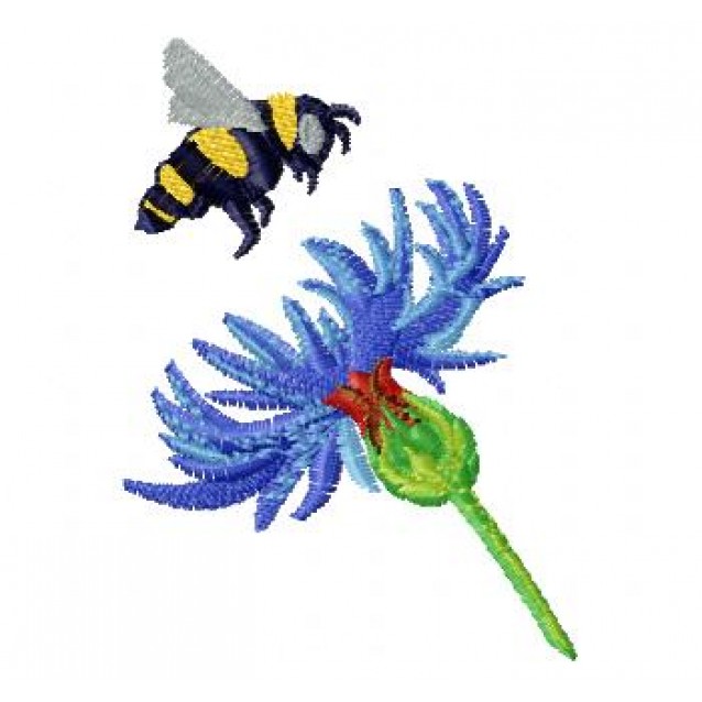 Flowers_57