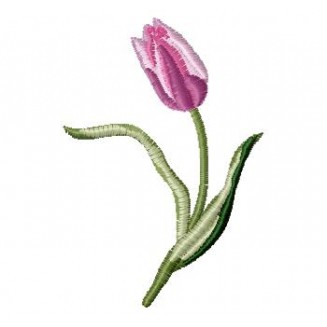 Flowers_58