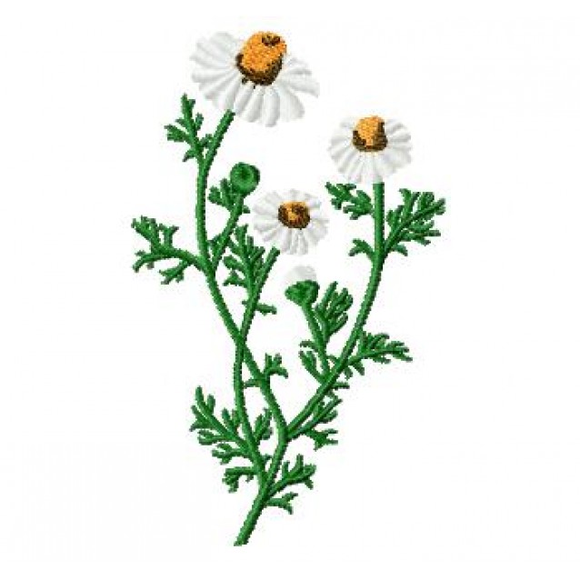 Flowers_59