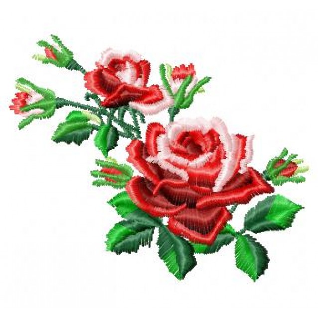Flowers_60