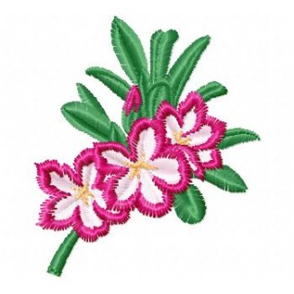 Flowers_61