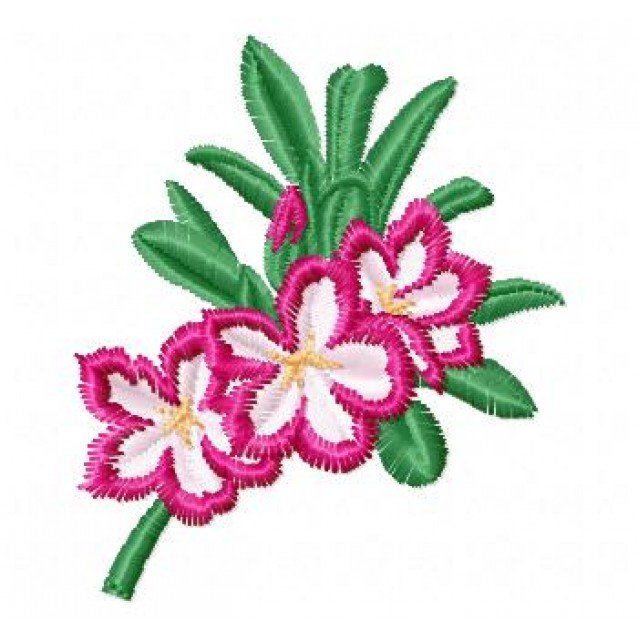 Flowers_61