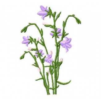 Flowers_63