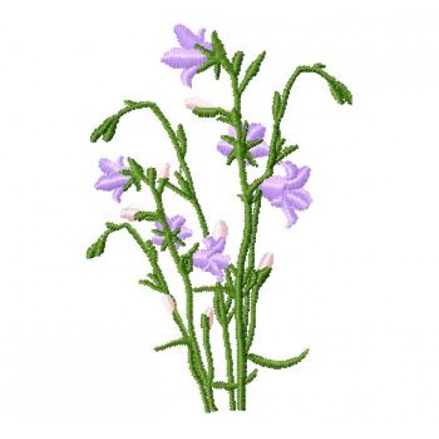 Flowers_63