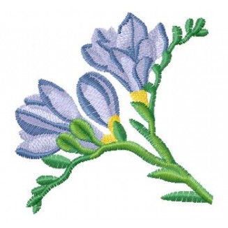 Flowers_65