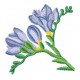 Flowers_65