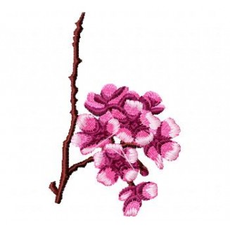 Flowers_66