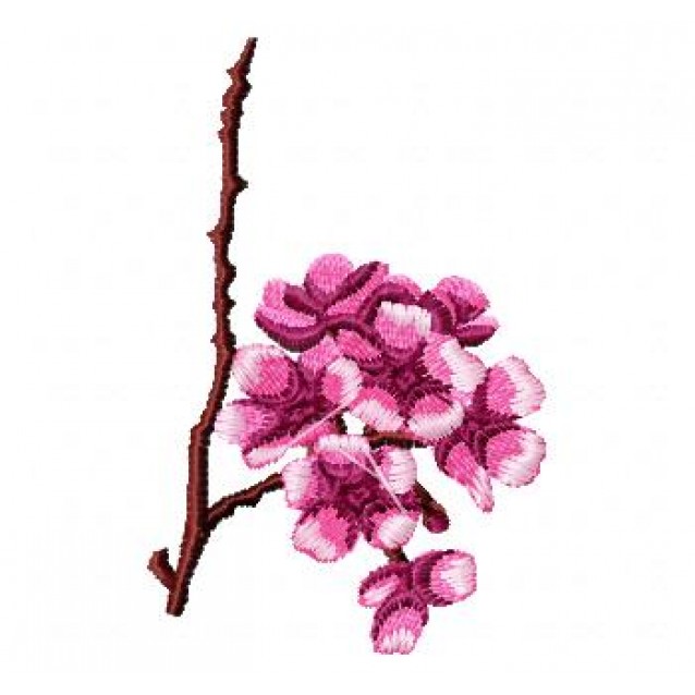 Flowers_66
