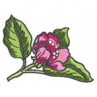 Flowers_68