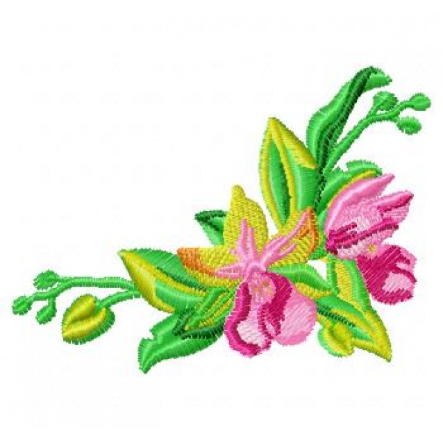 Flowers_70