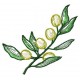 Flowers_71