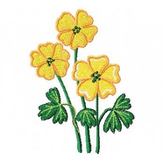 Flowers_72