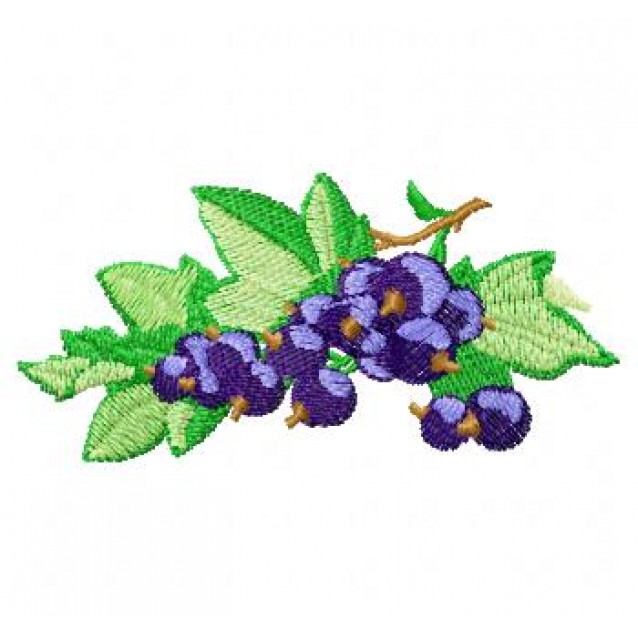 Flowers_73