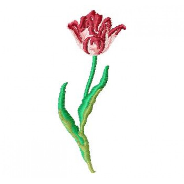 Flowers_75