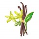 Flowers_76