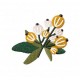 Flowers_8