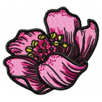 Flowers_53