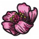 Flowers_53