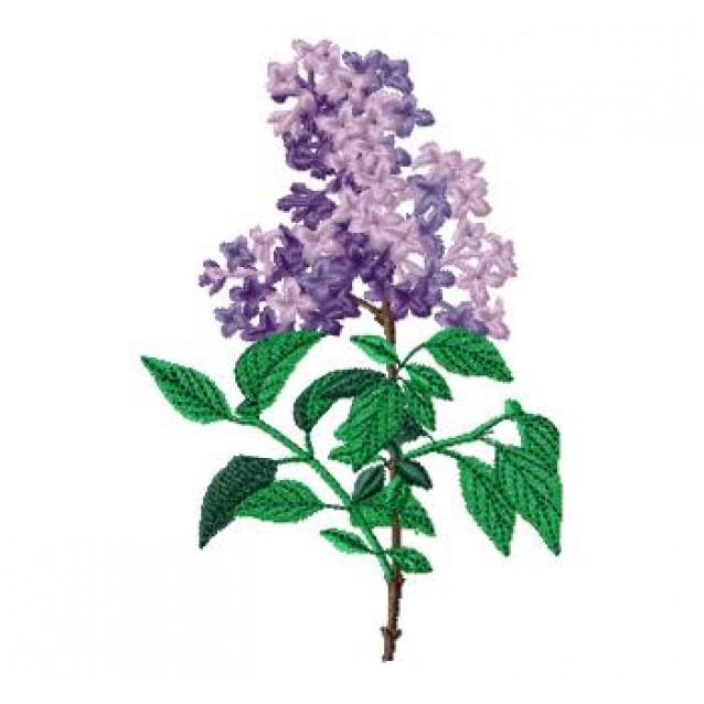 Flowers_54