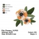 Flowers_15