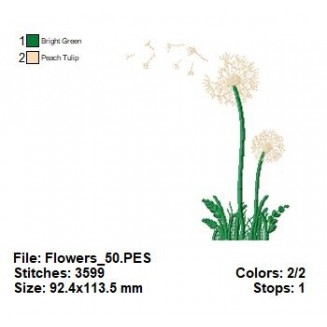 Flowers_50