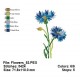 Flowers_52