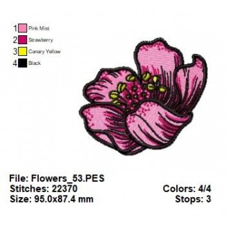 Flowers_53