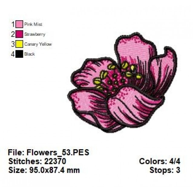 Flowers_53