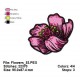 Flowers_53