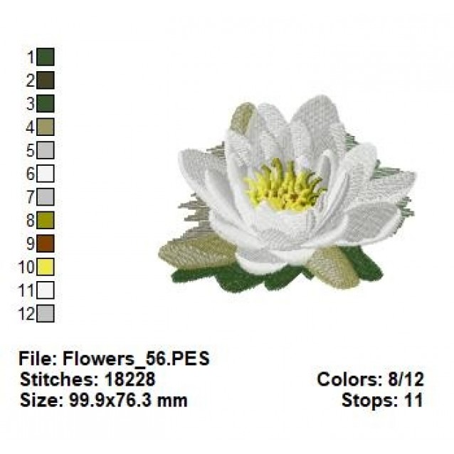 Flowers_56