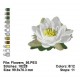 Flowers_56