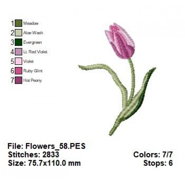 Flowers_58