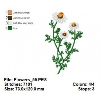 Flowers_59
