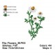 Flowers_59