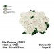 Flowers_62