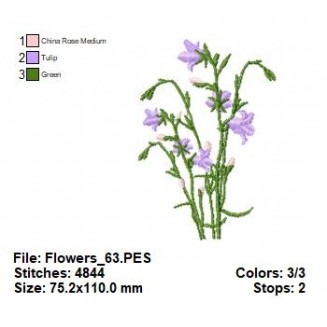 Flowers_63