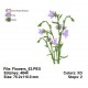 Flowers_63