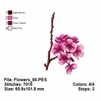 Flowers_66