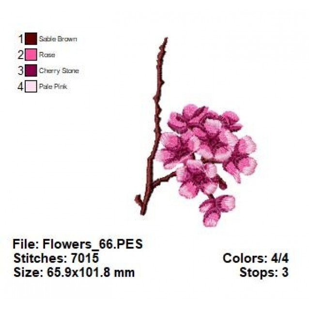 Flowers_66