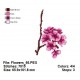Flowers_66