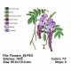 Flowers_69