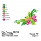 Flowers_70